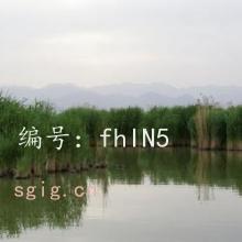 ƫ