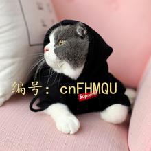 벻