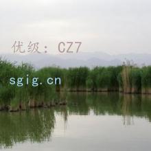 ź