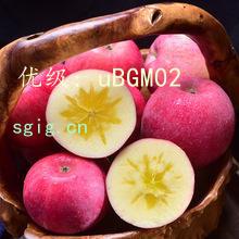 ƫ