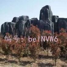 ź
